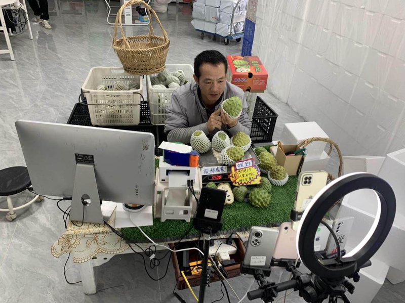 桑蚕产业的发展与挑战：海阳地区的独特魅力